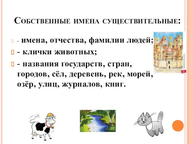 Собственные имена существительные: - имена, отчества, фамилии людей; - клички животных;