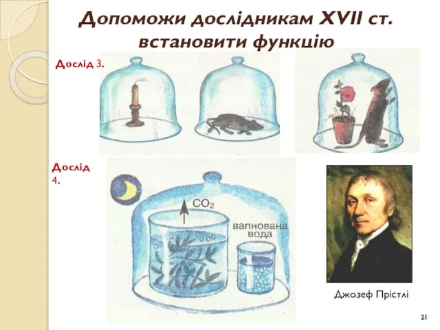 Допоможи дослідникам ХVІІ ст. встановити функцію Дослід 3. Дослід 4. Джозеф Прістлі