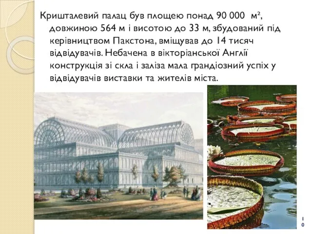 Кришталевий палац був площею понад 90 000 м², довжиною 564 м