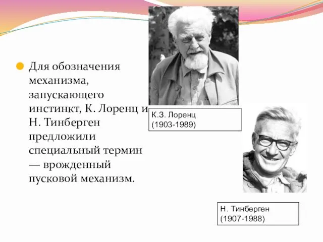 Для обозначения механизма, запускающего инстинкт, К. Лоренц и Н. Тинберген предложили