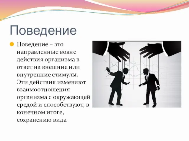 Поведение Поведение – это направленные вовне действия организма в ответ на