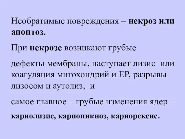 Необратимые повреждения – некроз или апоптоз. При некрозе возникают грубые дефекты