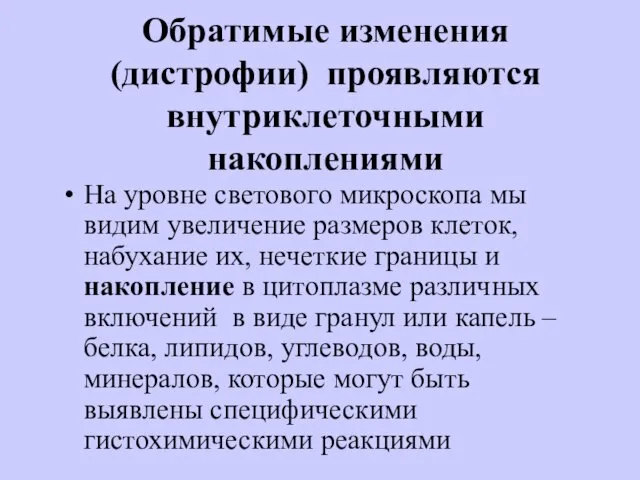 Обратимые изменения (дистрофии) проявляются внутриклеточными накоплениями На уровне светового микроскопа мы