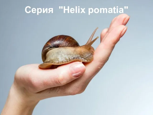 Серия "Helix pomatia"