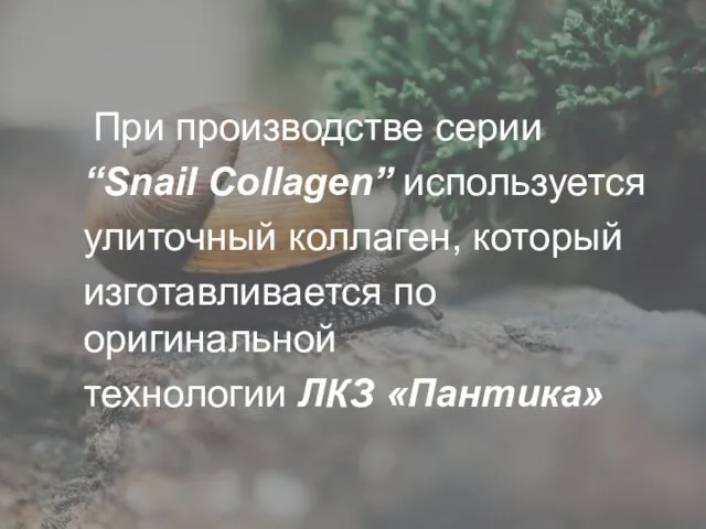 При производстве серии “Snail Collagen” используется улиточный коллаген, который изготавливается по оригинальной технологии ЛКЗ «Пантика»