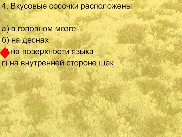 4. Вкусовые сосочки расположены а) в головном мозге б) на деснах