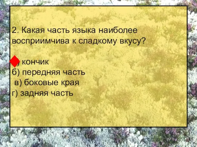 2. Какая часть языка наиболее восприимчива к сладкому вкусу? а) кончик