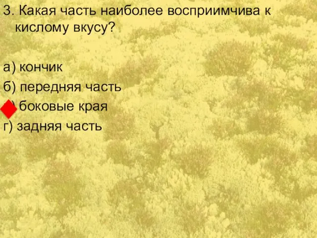 3. Какая часть наиболее восприимчива к кислому вкусу? а) кончик б)