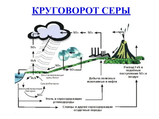 КРУГОВОРОТ СЕРЫ