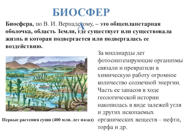 Биосфера, по В. И. Вернадскому, – это общепланетарная оболочка, область Земли,