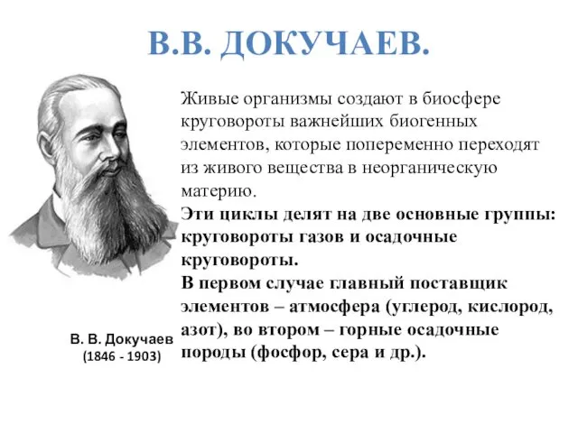 В. В. Докучаев (1846 - 1903) Живые организмы создают в биосфере
