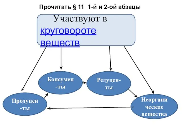 Участвуют в круговороте веществ Продуцен-ты Консумен-ты Редуцен-ты Неорганические вещества Прочитать § 11 1-й и 2-ой абзацы