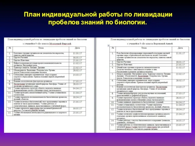 План индивидуальной работы по ликвидации пробелов знаний по биологии.