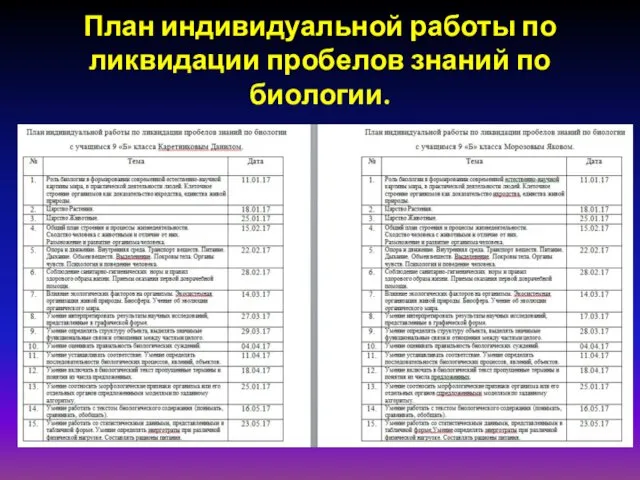 План индивидуальной работы по ликвидации пробелов знаний по биологии.