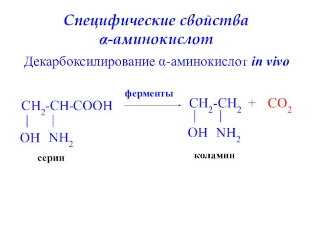 Специфические свойства α-аминокислот Декарбоксилирование α-аминокислот in vivo CH2-CH- NH2 серин COO