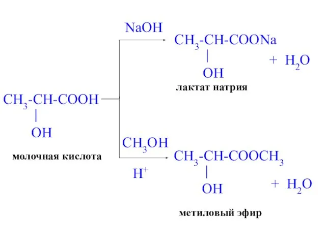 NaOH лактат натрия + H2O CH3OH H+ метиловый эфир + H2O молочная кислота
