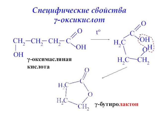 Специфические свойства γ-оксикислот CH2 CH2 CH2 C O OH O H
