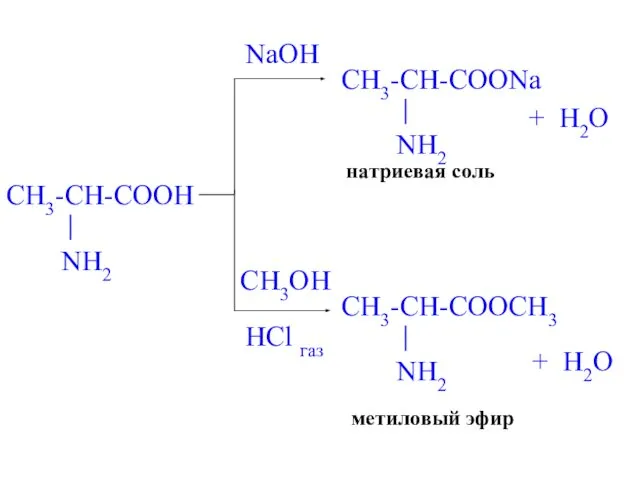 NaOH натриевая соль + H2O CH3OH HCl газ метиловый эфир + H2O