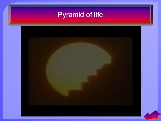 Pyramid of life