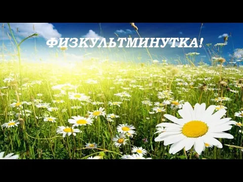 ФИЗКУЛЬТМИНУТКА!