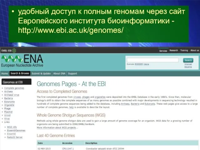 удобный доступ к полным геномам через сайт Европейского института биоинформатики - http://www.ebi.ac.uk/genomes/