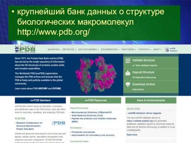 крупнейший банк данных о структуре биологических макромолекул http://www.pdb.org/