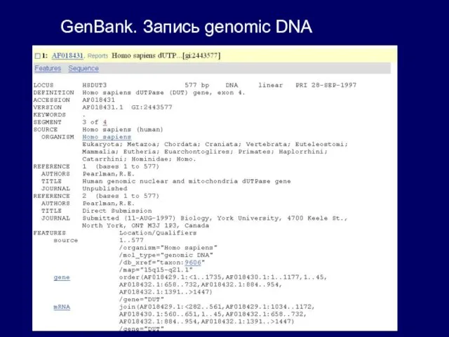GenBank. Запись genomic DNA
