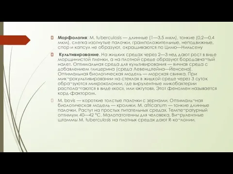 Морфология: М. tuberculosis — длинные (1—3,5 мкм), тонкие (0,2—0,4 мкм), слегка