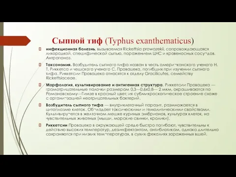 Сыпной тиф (Typhus exanthematicus) инфекционная болезнь, вызываемая Rickettsia prowazekii, сопровождающаяся лихорадкой,