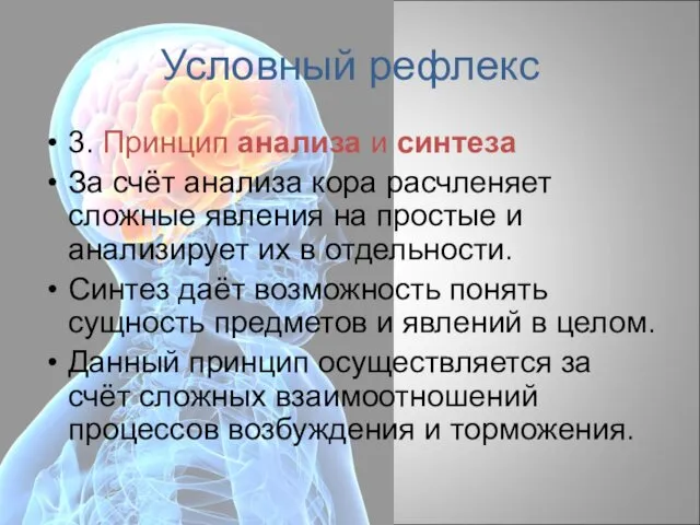 Условный рефлекс 3. Принцип анализа и синтеза За счёт анализа кора