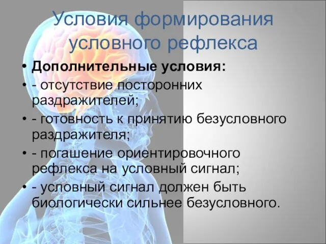 Условия формирования условного рефлекса Дополнительные условия: - отсутствие посторонних раздражителей; -