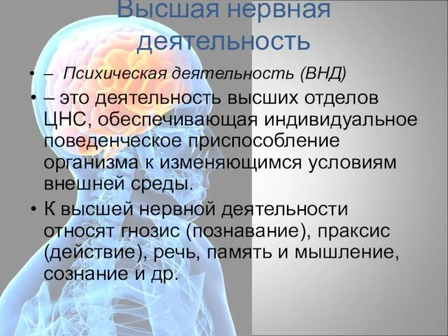 Высшая нервная деятельность – Психическая деятельность (ВНД) – это деятельность высших