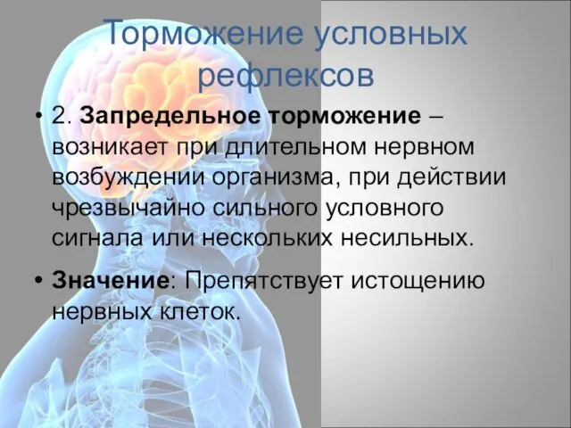 Торможение условных рефлексов 2. Запредельное торможение – возникает при длительном нервном