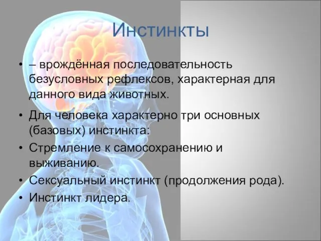 Инстинкты – врождённая последовательность безусловных рефлексов, характерная для данного вида животных.