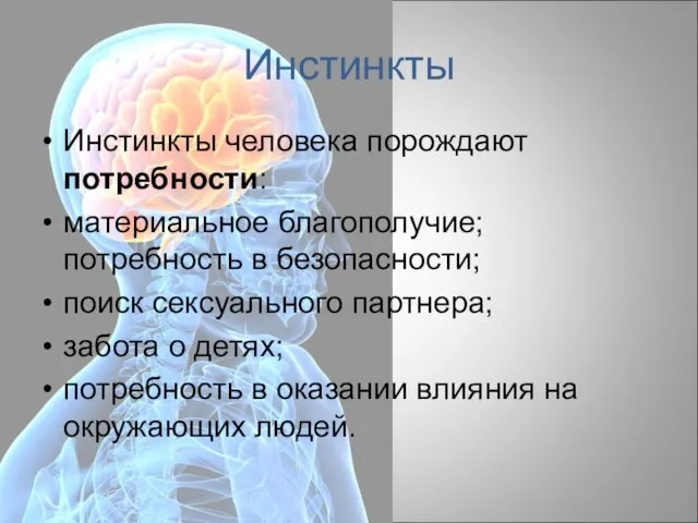 Инстинкты Инстинкты человека порождают потребности: материальное благополучие; потребность в безопасности; поиск