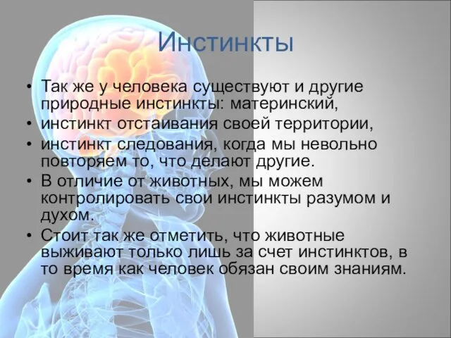 Инстинкты Так же у человека существуют и другие природные инстинкты: материнский,