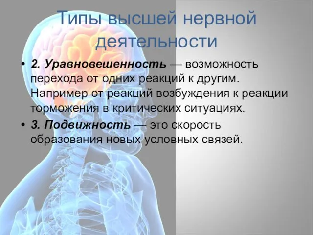 Типы высшей нервной деятельности 2. Уравновешенность — возможность перехода от одних