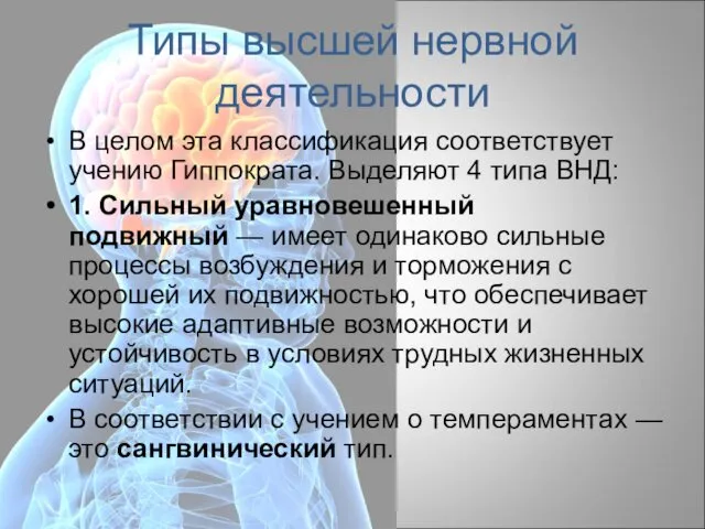 Типы высшей нервной деятельности В целом эта классификация соответствует учению Гиппократа.