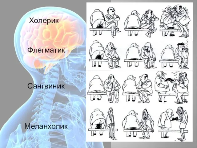 Типы ВНД Холерик Флегматик Сангвиник Меланхолик