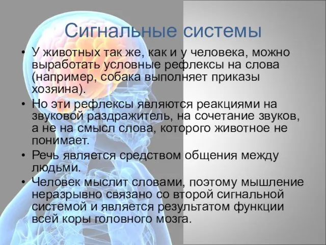 Сигнальные системы У животных так же, как и у человека, можно