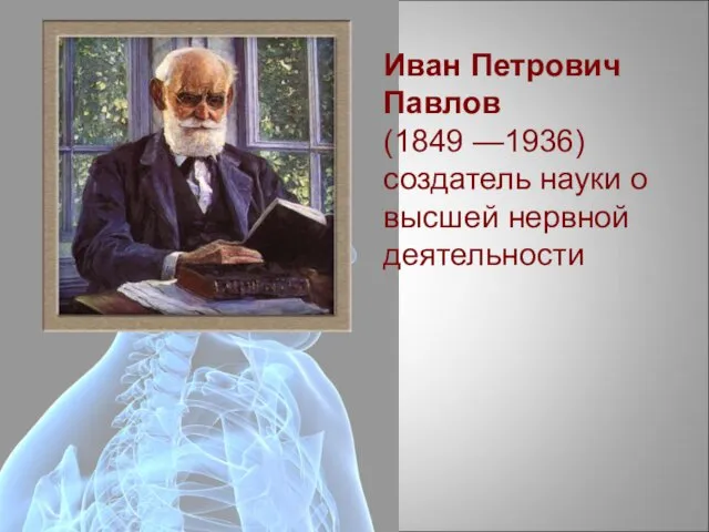 Иван Петрович Павлов (1849 —1936) создатель науки о высшей нервной деятельности