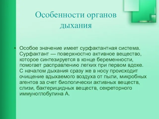 Особенности органов дыхания Особое значение имеет сурфактантная система. Сурфактант — поверхностно