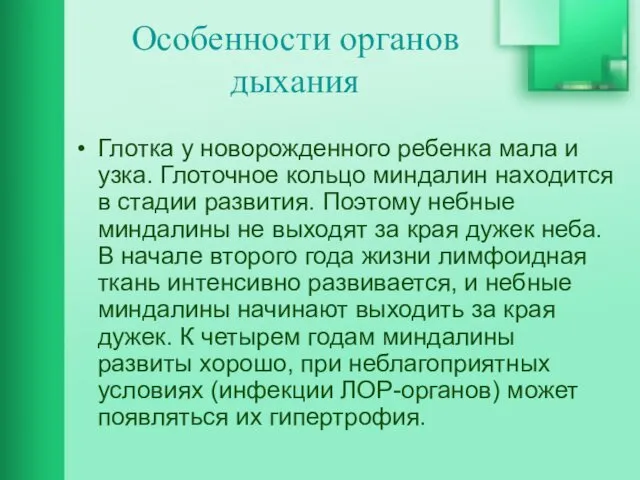 Особенности органов дыхания Глотка у новорожденного ребенка мала и узка. Глоточное