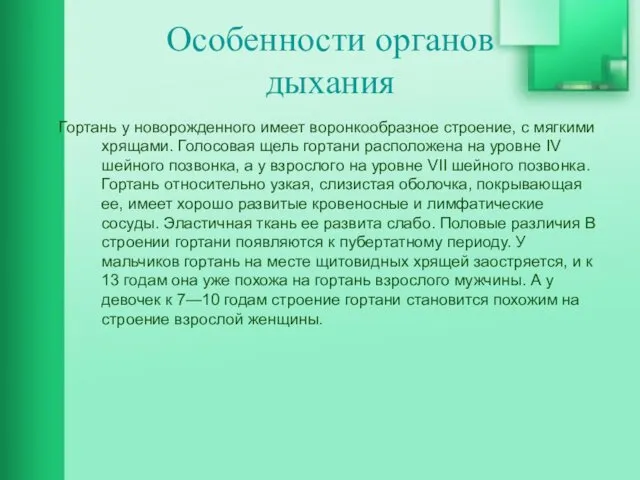 Особенности органов дыхания Гортань у новорожденного имеет воронкообразное строение, с мягкими