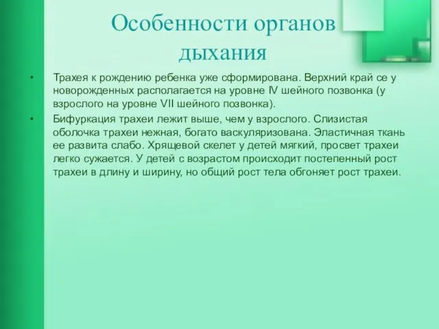 Особенности органов дыхания Трахея к рождению ребенка уже сформирована. Верхний край