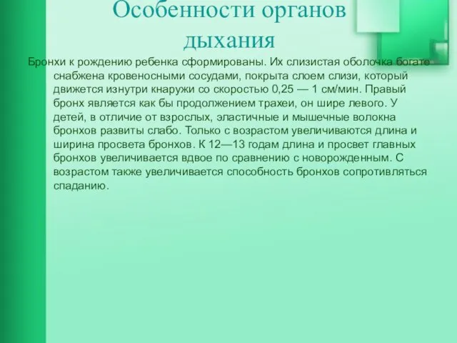 Бронхи к рождению ребенка сформированы. Их слизистая оболочка богато снабжена кровеносными