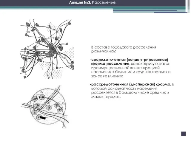 В составе городского расселения различались: сосредоточенная (концентрированная) форма расселения, характеризующаяся преимущественной