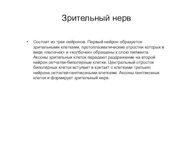 Зрительный нерв Состоит из трех нейронов. Первый нейрон образуется зрительными клетками,