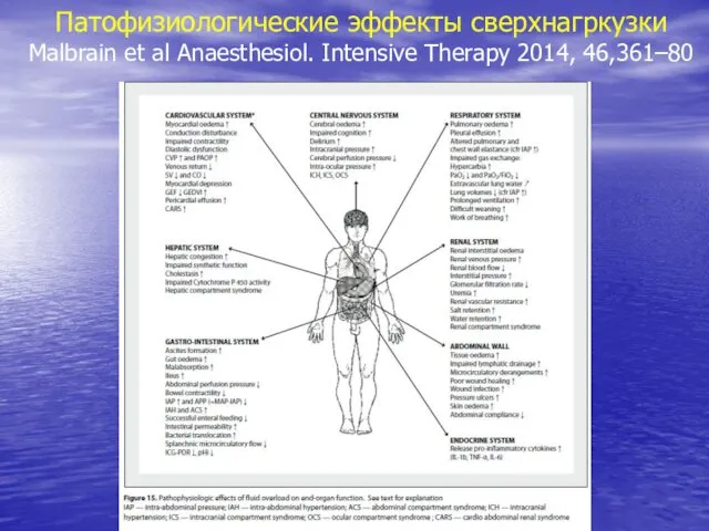 Патофизиологические эффекты сверхнагркузки Malbrain et al Anaesthesiol. Intensive Therapy 2014, 46,361–80