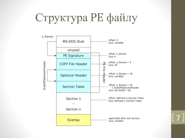 Структура PE файлу